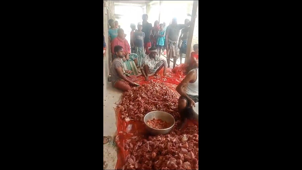 QURBANI EID IN INDIA 🇮🇳 2024!!!