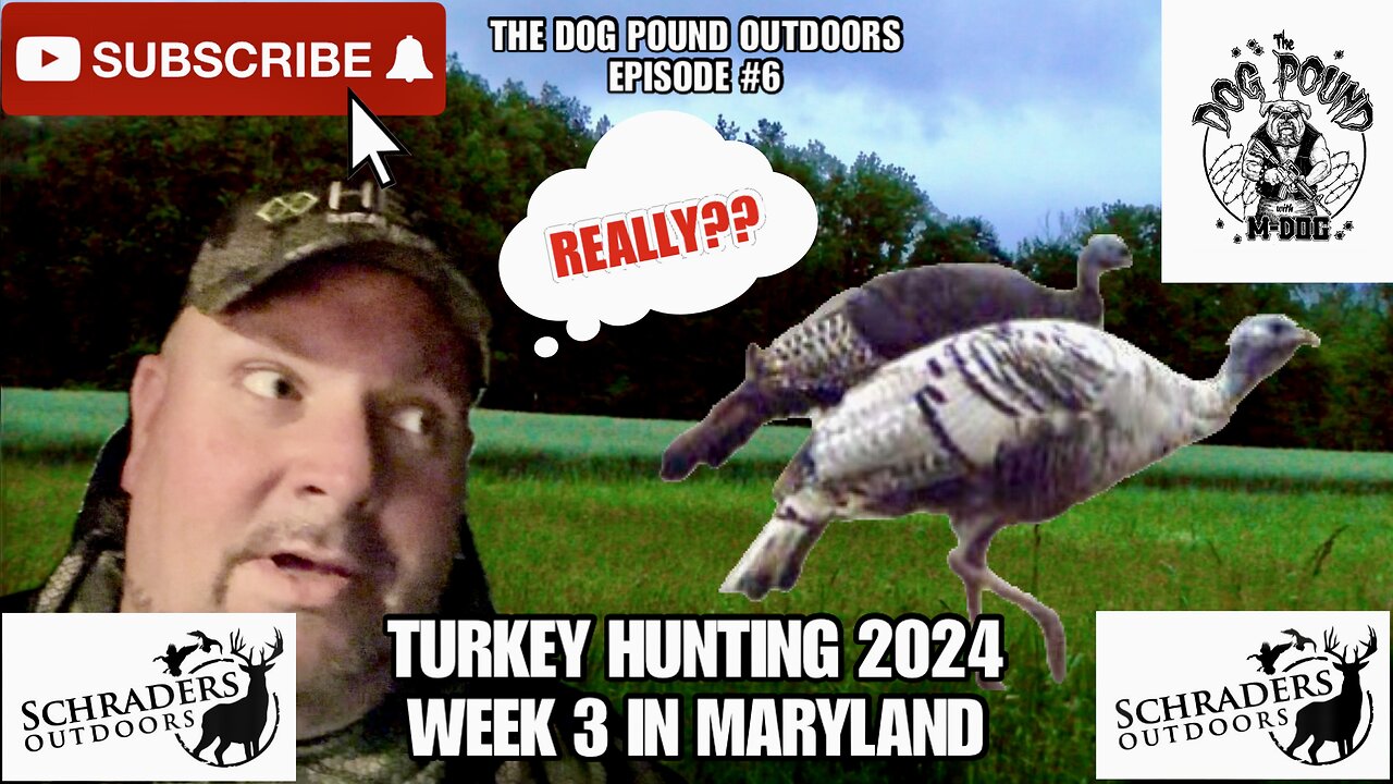 TURKEY HUNTING 2024! WEEK 3 IN MARYLAND!