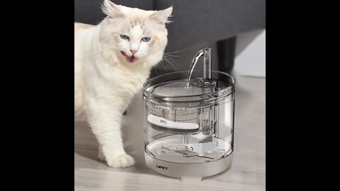 Automatic cat water fountain ,Dog Water Dispenser ,Funny Cute Pets Lovers, #shorts ,[water fountain]