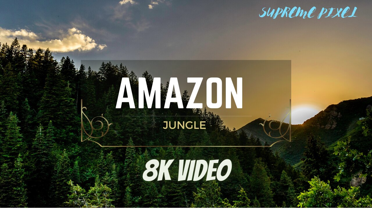 Amazon jungle | 8k video | #beauty | #wildlife