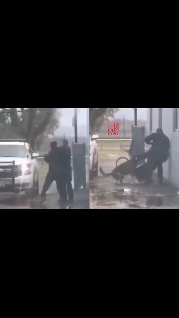 CLASSIC: Soy Ninja Slaps A Cop, K9 Fur Missile Deployed