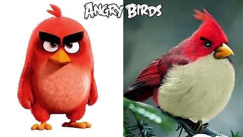 Angry Birds in Real Life