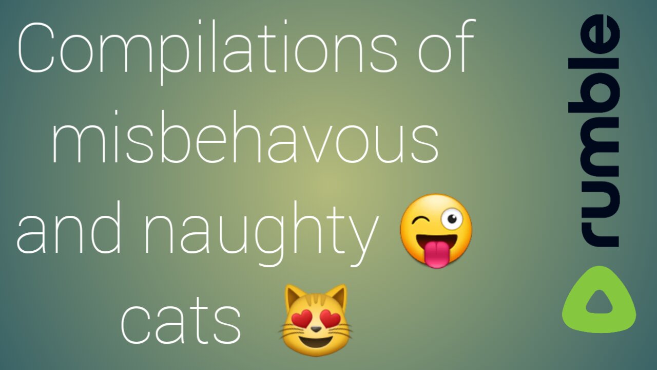 Funny cats 🐈 compilations