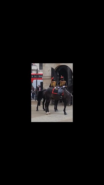 return Swords dismount #horseguardsparade