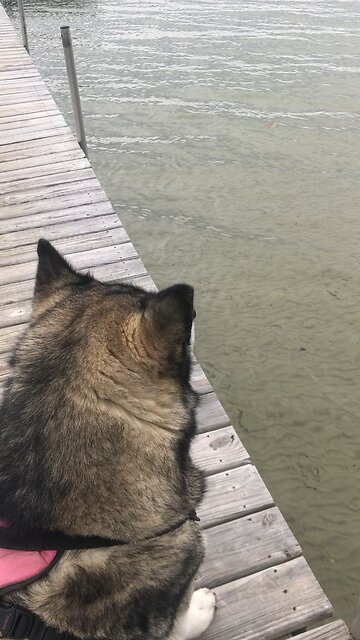 Sunday Oct, 13. I will show you the judgment