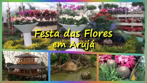 VLOG:FESTA DAS FLORES EM ARUJÁ - 28° AFLORD I Cinthia Artea