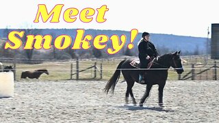 First WESTERN Riding Lesson!