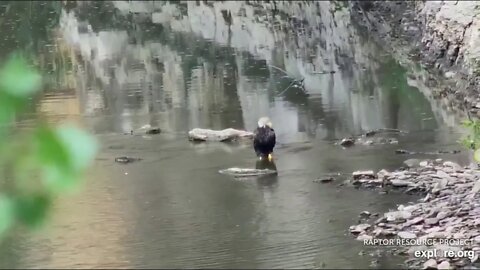 Mom takes a bath on the last day. Cam shut down on 8-17-19