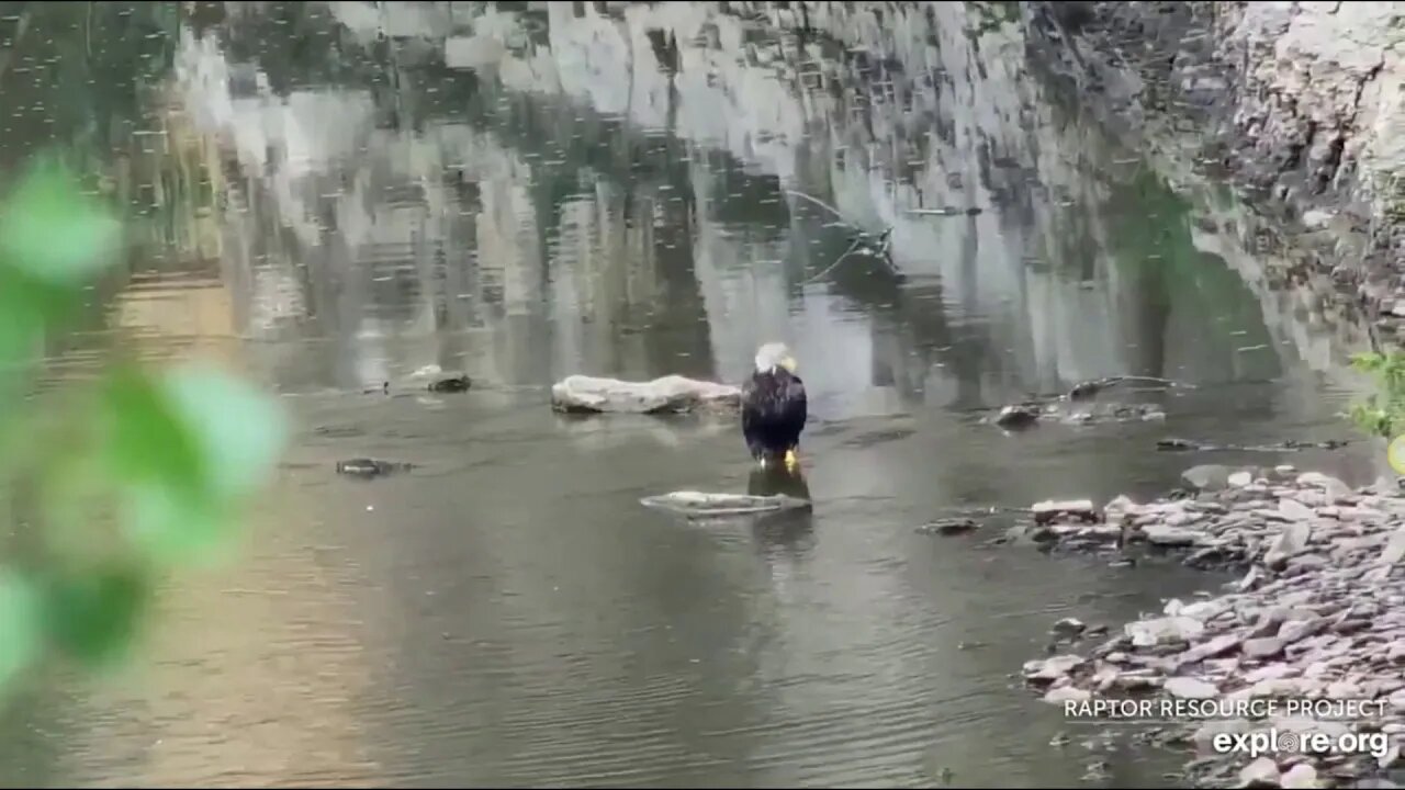 Mom takes a bath on the last day. Cam shut down on 8-17-19