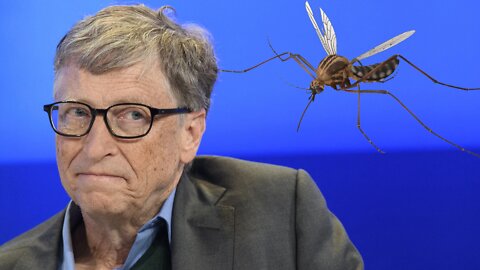 WATCH OUT FOR MOSQUITO'S , BILL GATES IS TALKING ABOUT THEM