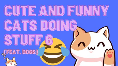 Cute and Funny Cats Doing Stuff 6 (feat. dogs)