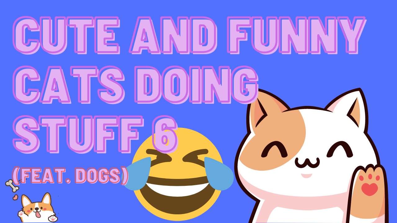 Cute and Funny Cats Doing Stuff 6 (feat. dogs)