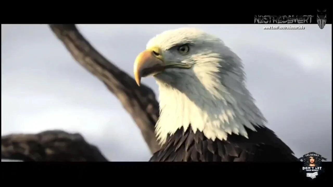 Trump MAGA (Extrait NostradaNews 111)