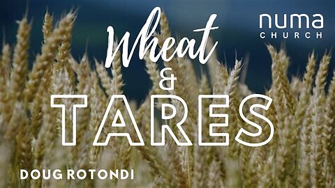 The Wheat and Tares | Doug Rotondi | NUMA Church NC
