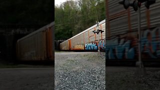 (Wife) NS Tunnel 4 Crum WV