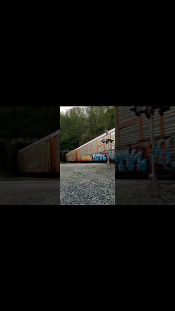 (Wife) NS Tunnel 4 Crum WV