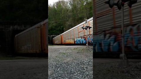 (Wife) NS Tunnel 4 Crum WV