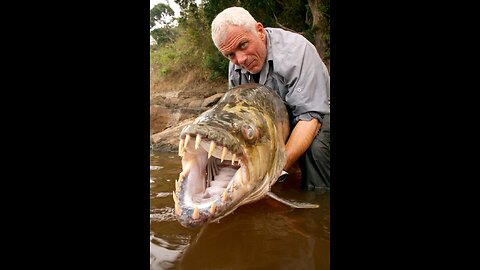 River Monsters