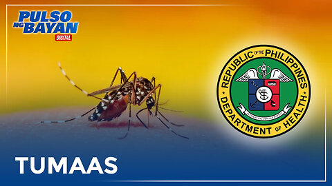 Dengue cases ng bansa hanggang October, 82% mas mataas kumpara noong 2023