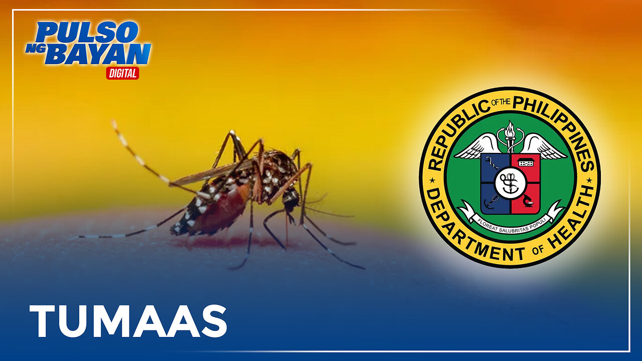 Dengue cases ng bansa hanggang October, 82% mas mataas kumpara noong 2023