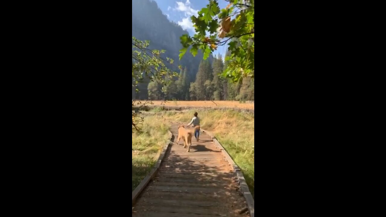 A boy and his dog!