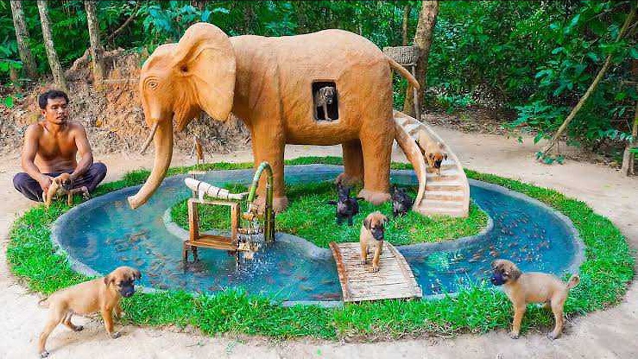 Build dog house in Elephant and build fish pond around elephant house