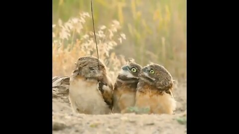 They were shocked! 💕🤣🤣