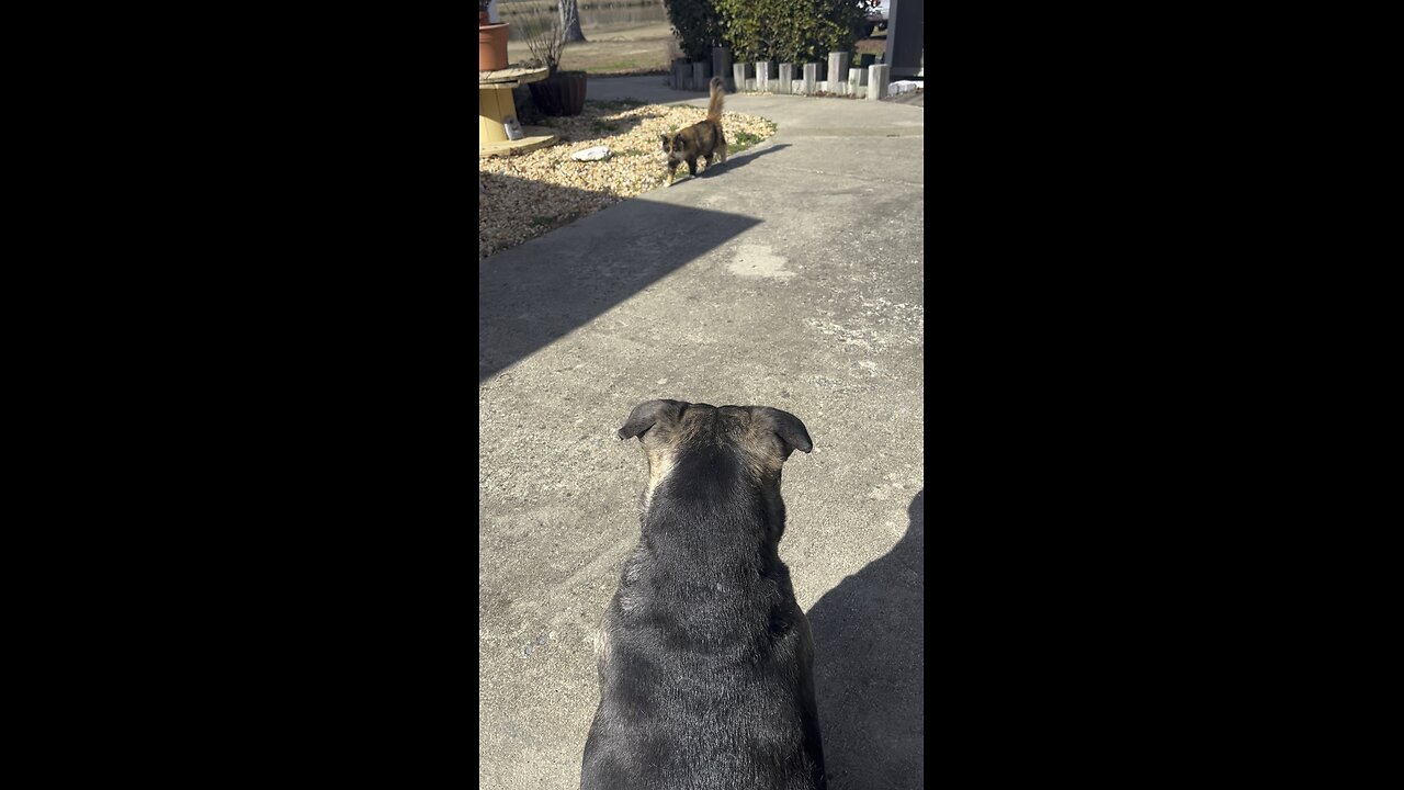 Wazzz up dog…all good in the neighborhood