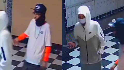 Can You Identify These Alleged Criminals?