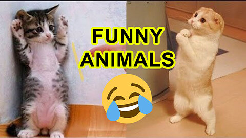 New Funniest Animals 2023 😂 Funny Cats and Dogs Videos 😺🐶 Part-01