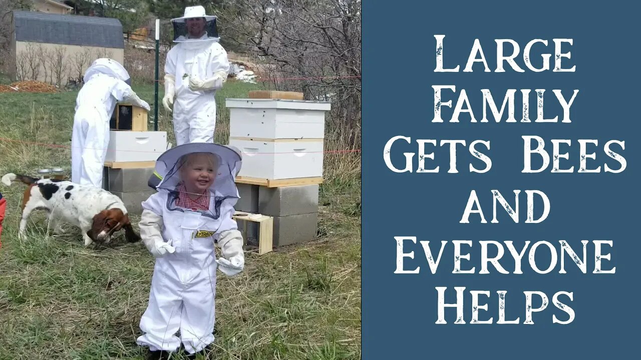 New Bee Hives | Large Family Style