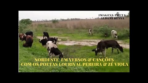 NORDESTE EM VERSOS & CANÇÕES