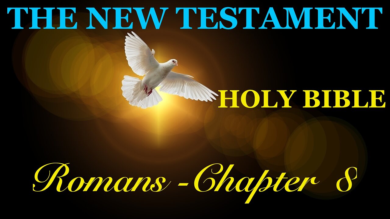 Romans - Chapter 8 DAILY BIBLE STUDY {Spoken Word - Text - Red Letter Edition}