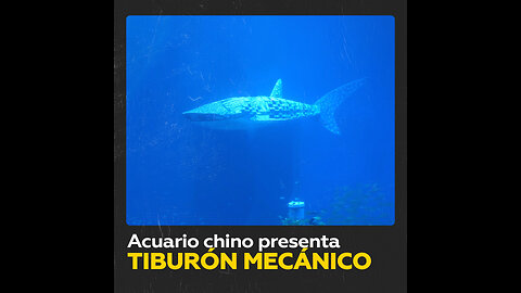 Tiburón mecánico en acuario provoca reacciones polémicas en China