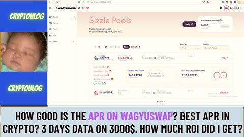 How Good Is The Apr On Wagyuswap? Best APR In Crypto? 3 Days Data On 3000$. How Much ROI Did I Get?