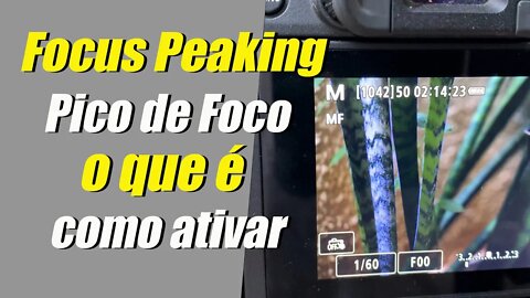 Focus Peaking, sua ajuda para não perder o foco!