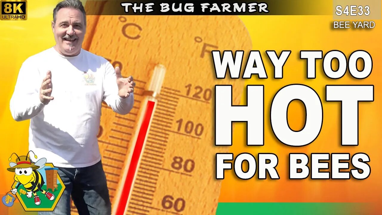 When is it TOO HOT to work your bees? | HEAT STROKE #beekeeping #insects #bees #honey