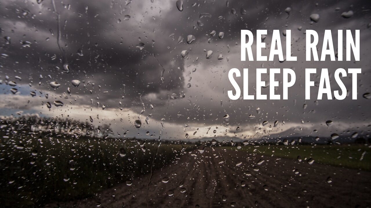 Real Rain to sleep fast. The good sound of rain