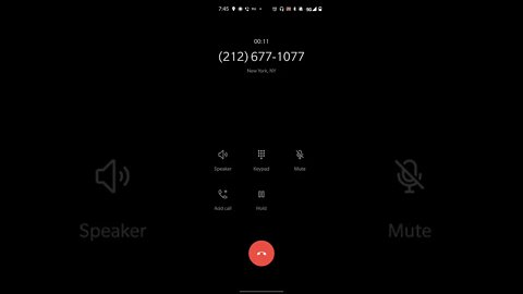 Call to District 2 of the New York City Counsel about the NYPD harassing me.