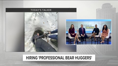 Today's Talker: Looking for professional bear huggers!