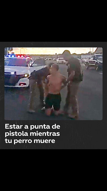 Policía amenaza con pistolas a una familia que intenta salvar a un perro moribundo