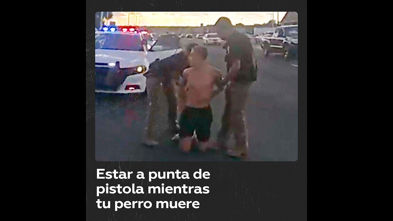 Policía amenaza con pistolas a una familia que intenta salvar a un perro moribundo