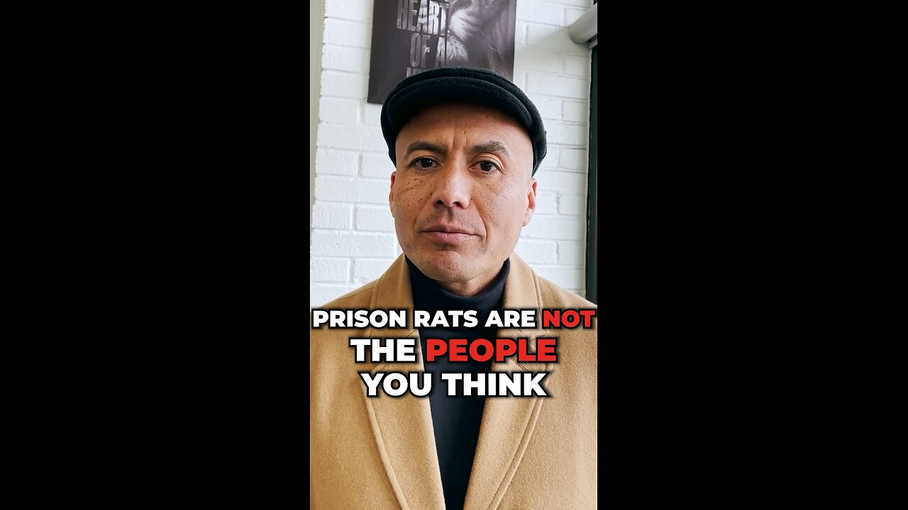 Prison Rats Are Not The People You Think They Are