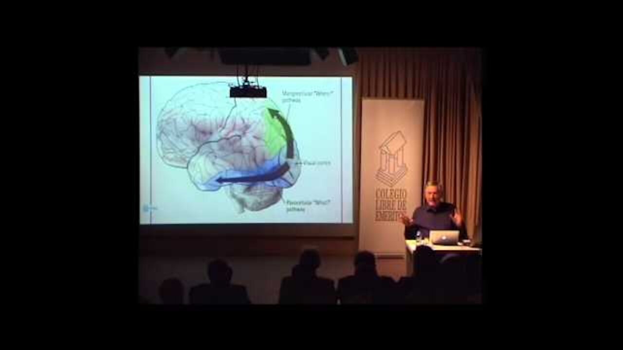 El impacto de la Neurociencia cerebro y libertad