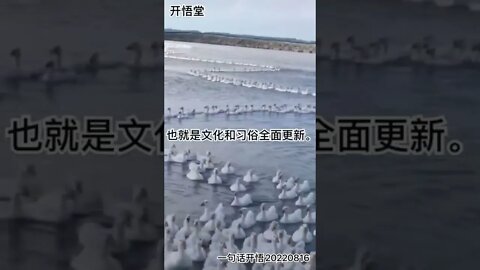 一句话开悟20220816