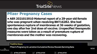 Pfizer’s Vaccine Pregnancy Lactation Cumulative Review Reveals Damning Data