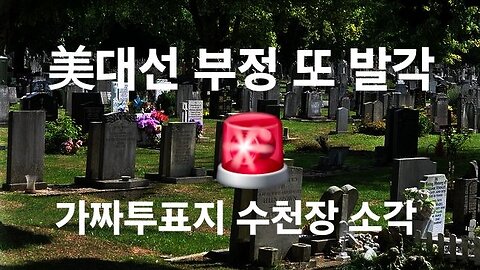 또 부정선거 합니다. 조지아주 가짜 투표지 발견. 美해병 소각! #1273. 240904