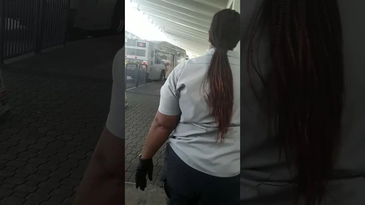 Gang-stalking in Action : The TikTok Edition on YouTube