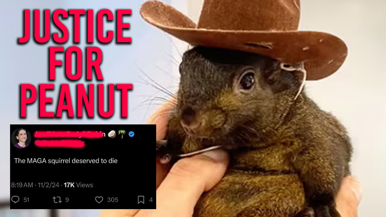 Peanut the Squirrel was M*RDERED by the Government...