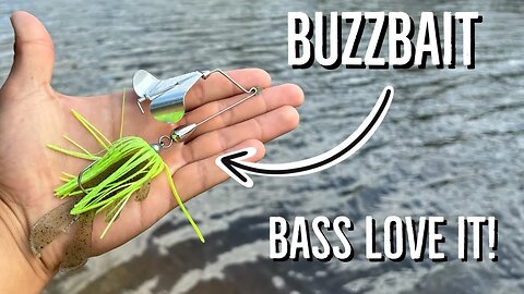 The Basics of fishing Buzzbaits! | How to fish for Buzzbait Bass!